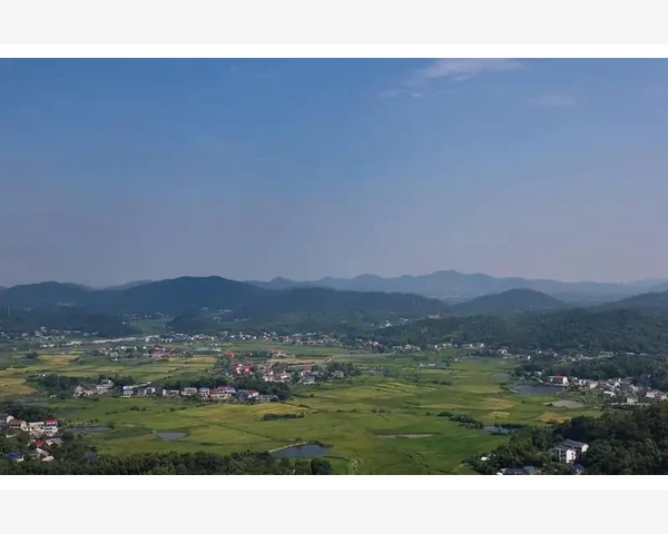 内里湿气重，饮食调理来助力！